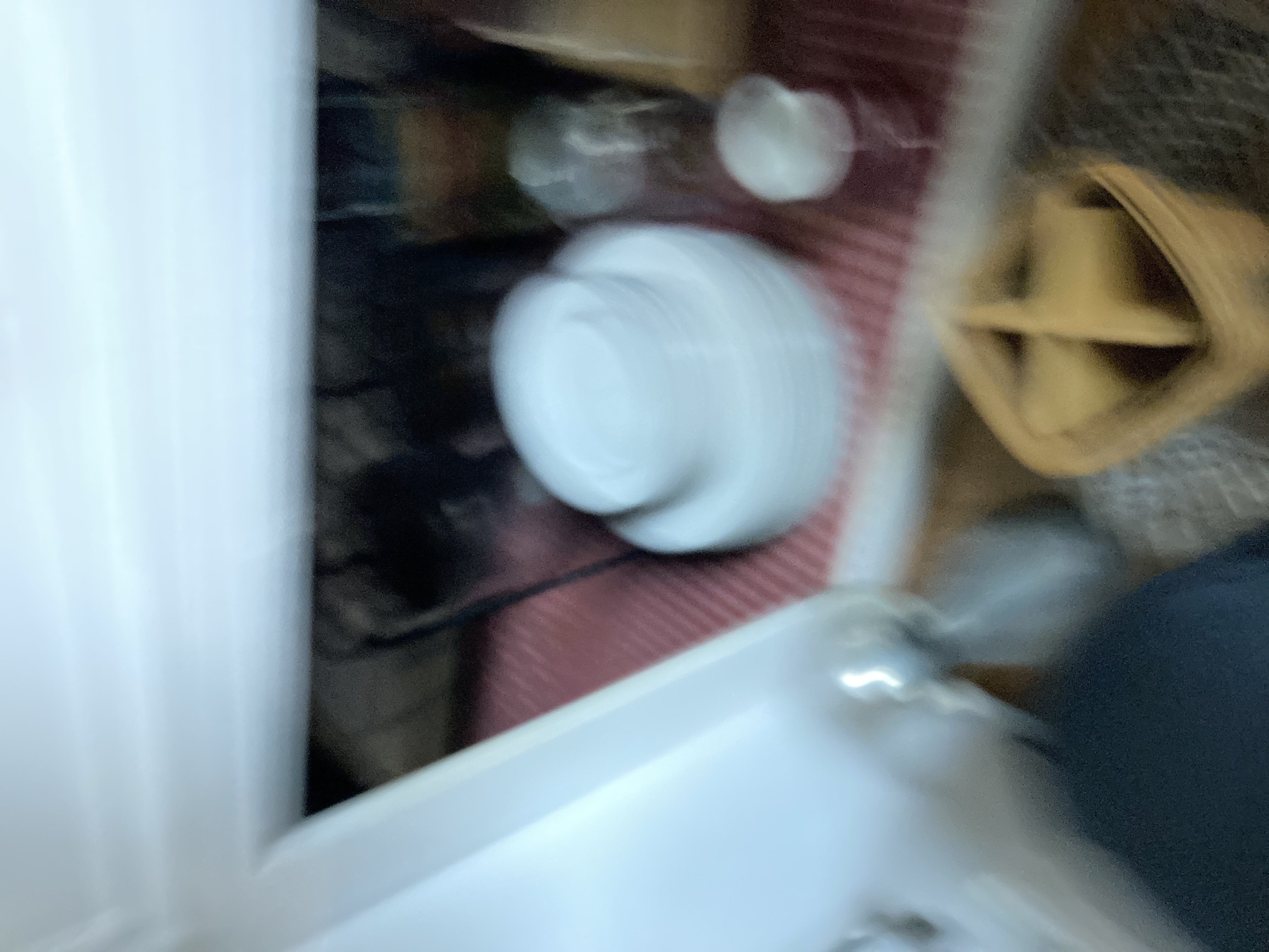 Img 0431
