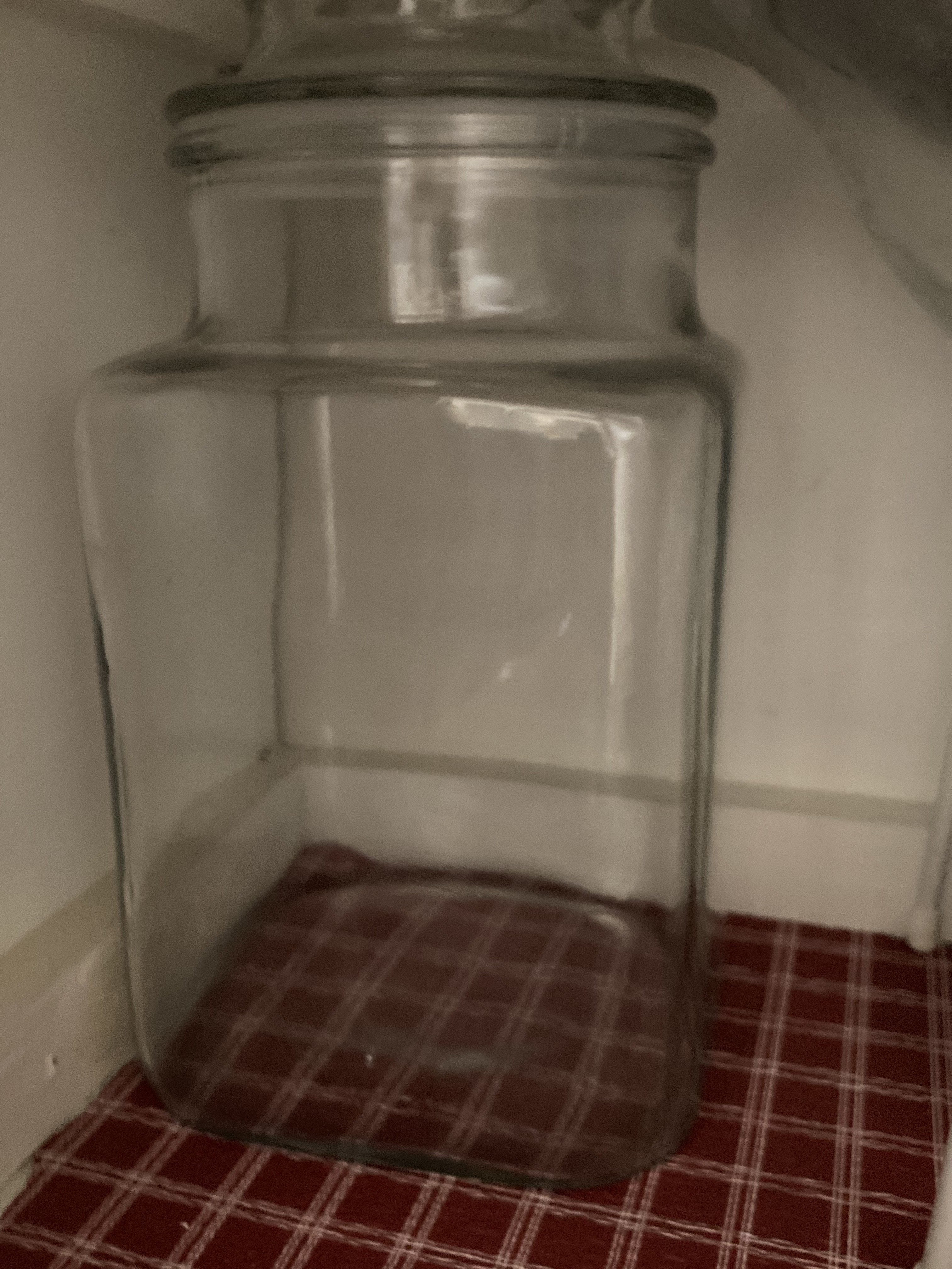 Img 0386