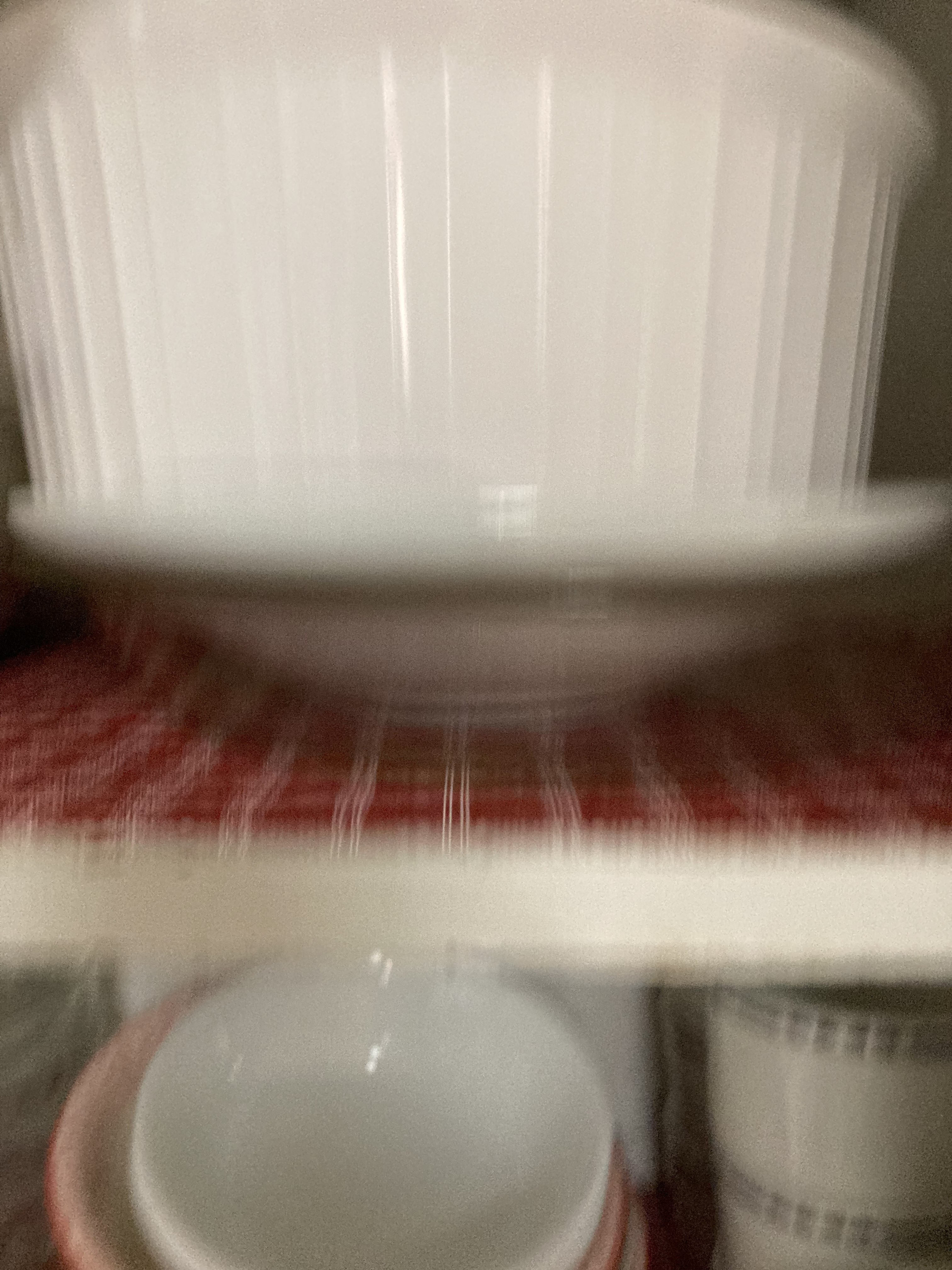 Img 0460