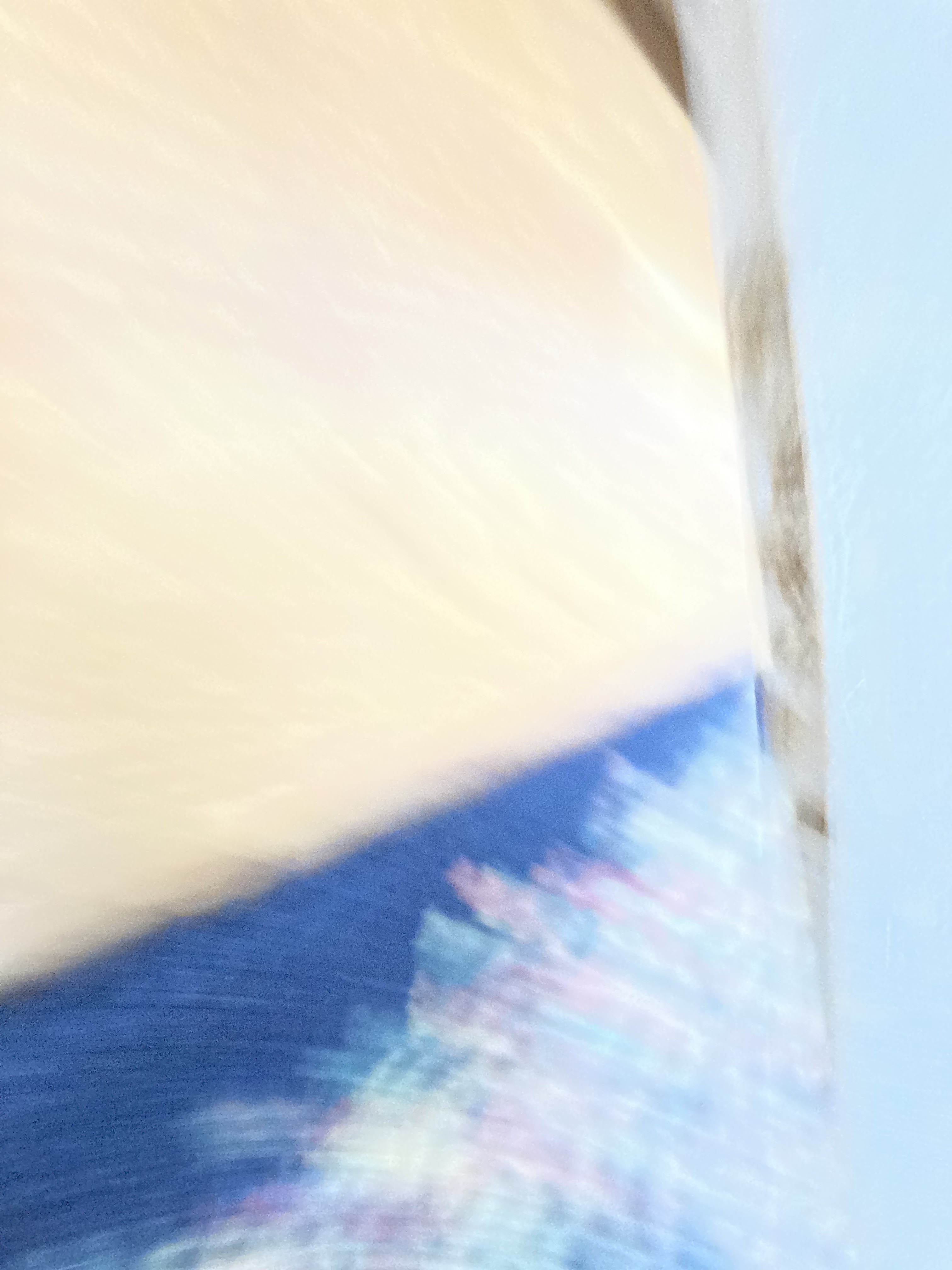 Img 0490